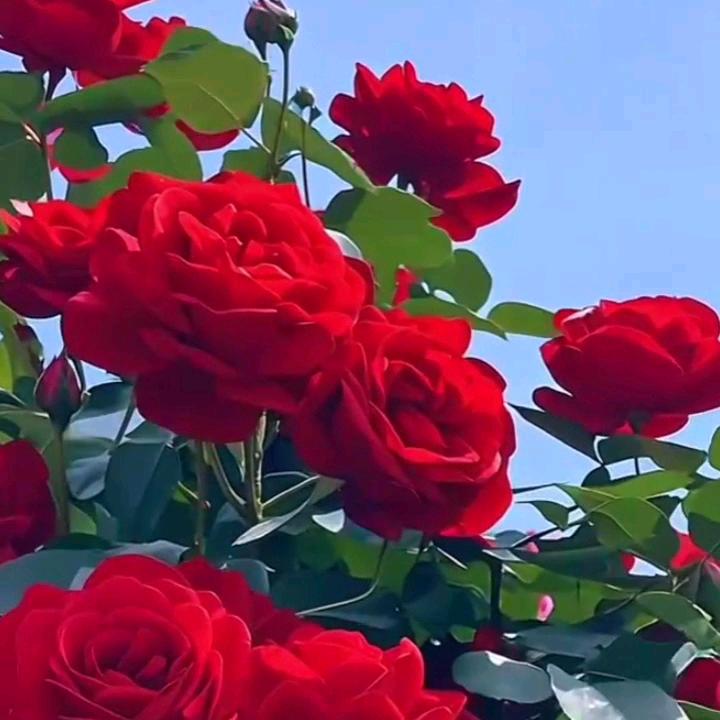 等着我