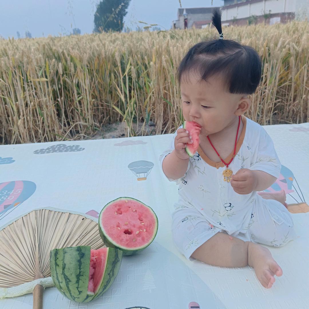 橘子🍊橙