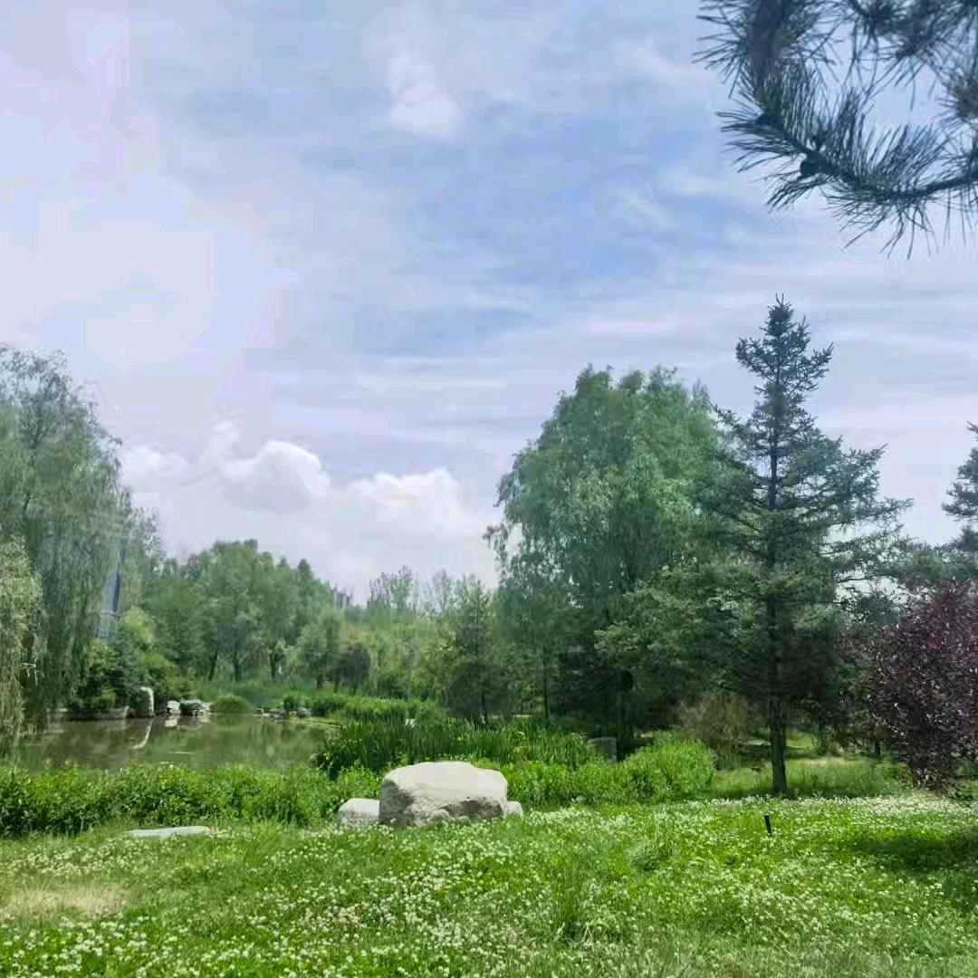 波波