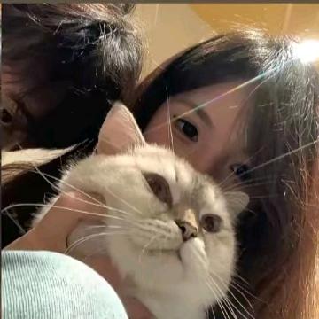 绝缘体
