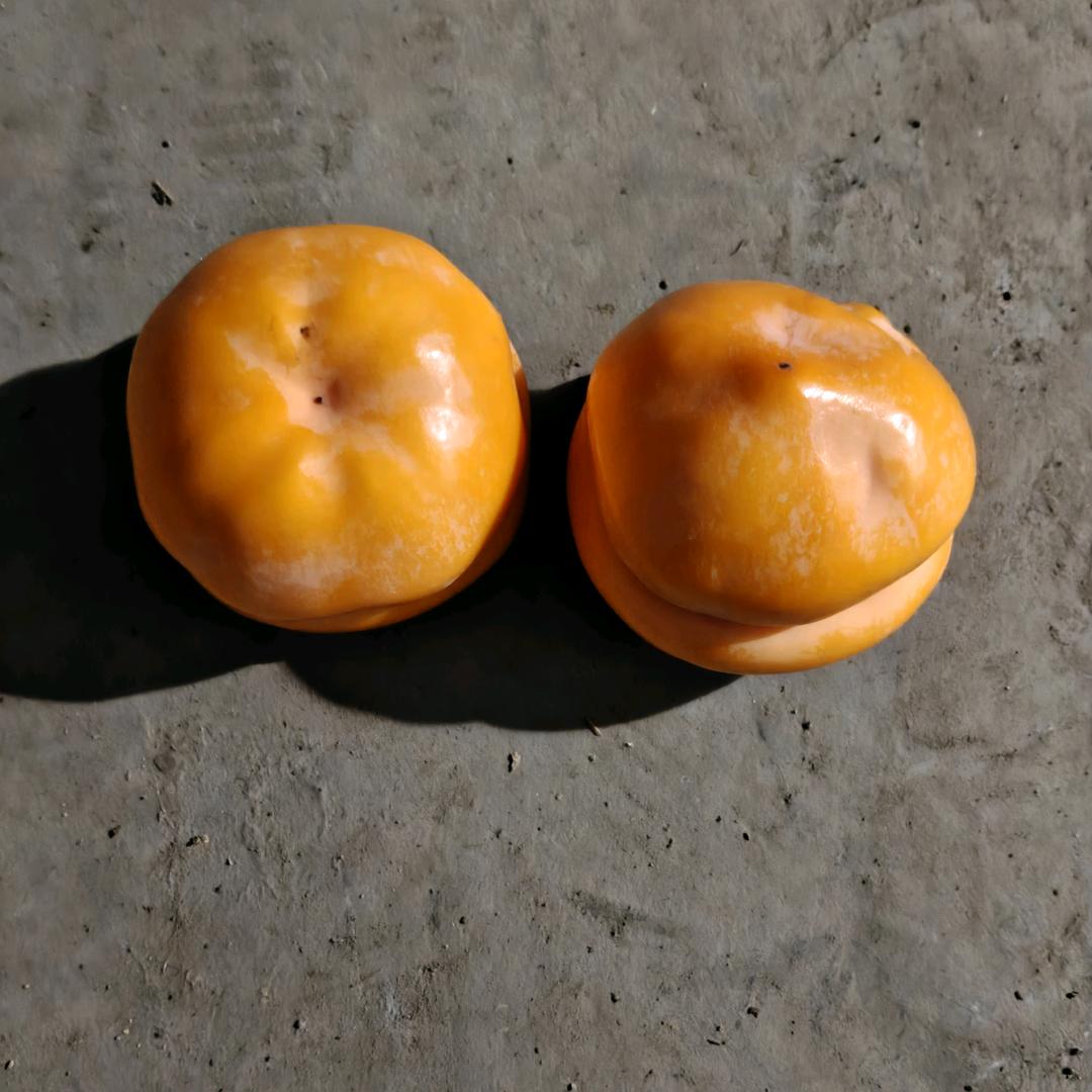 寻找幸福