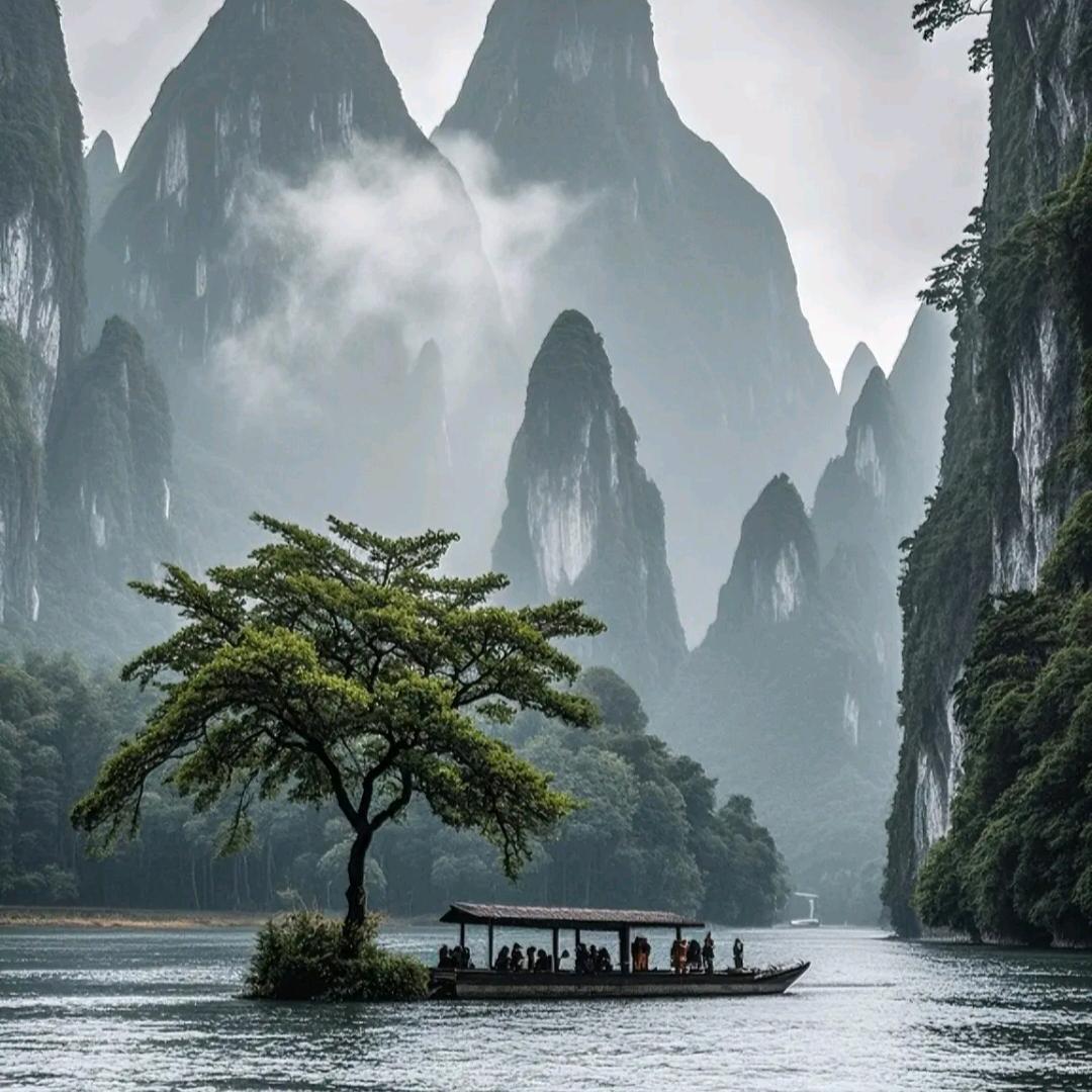 郑飞