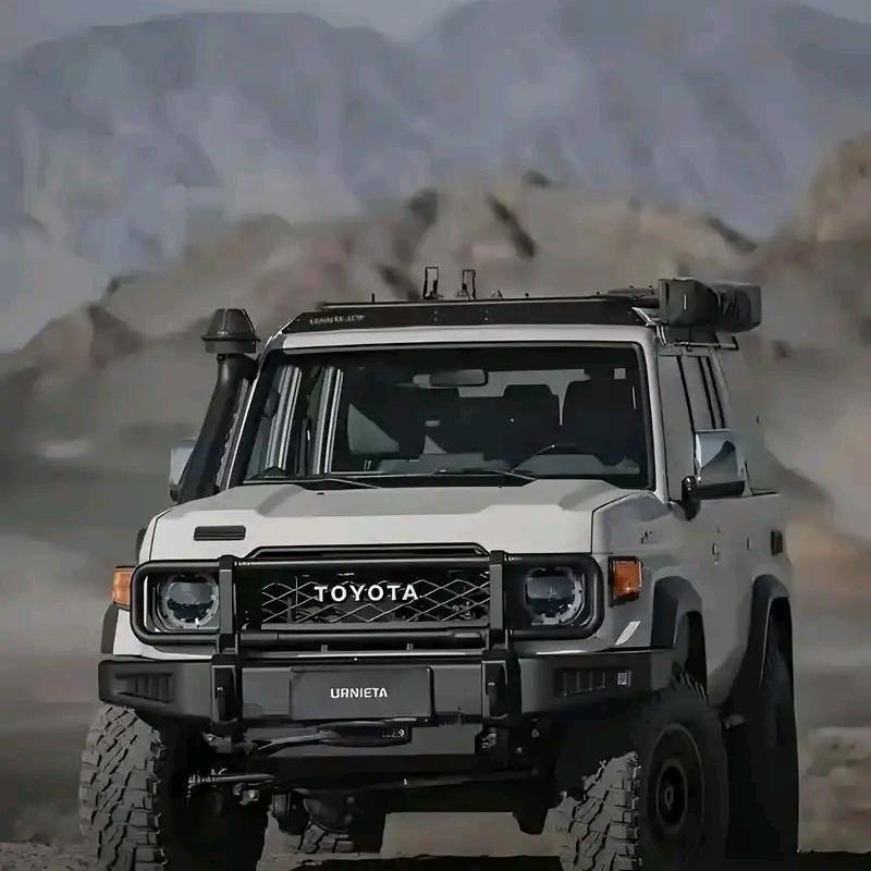 🌹非你莫属🌹