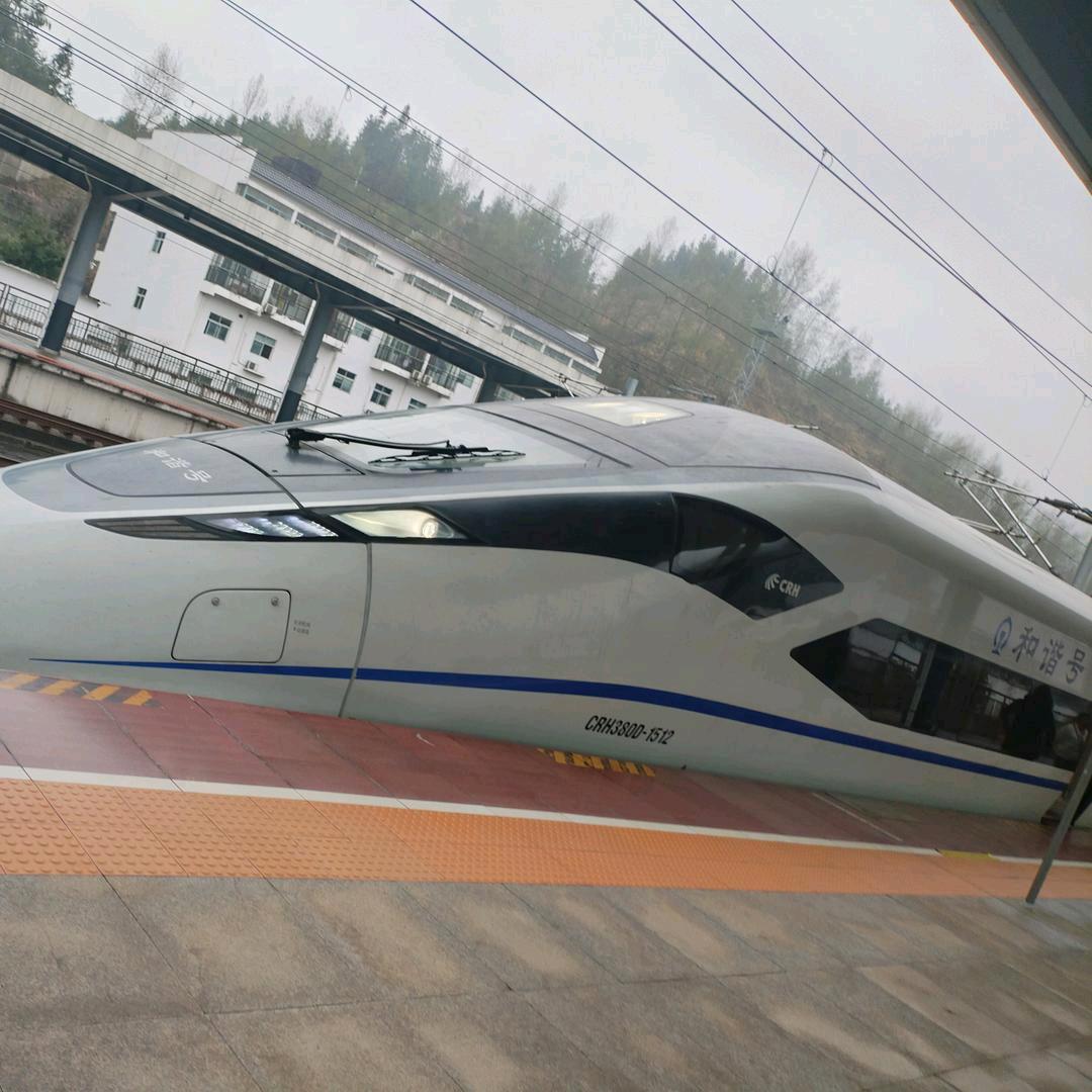 张哥哥