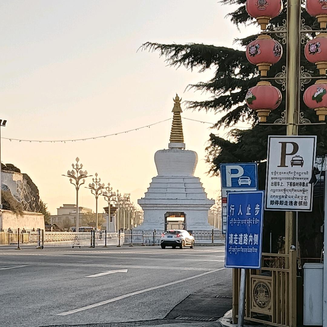 真诚心静