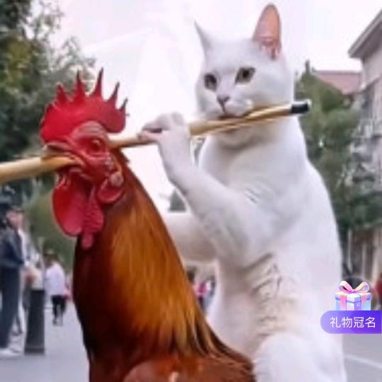🚩🚩🚩称❤️如易🚩🚩🚩
