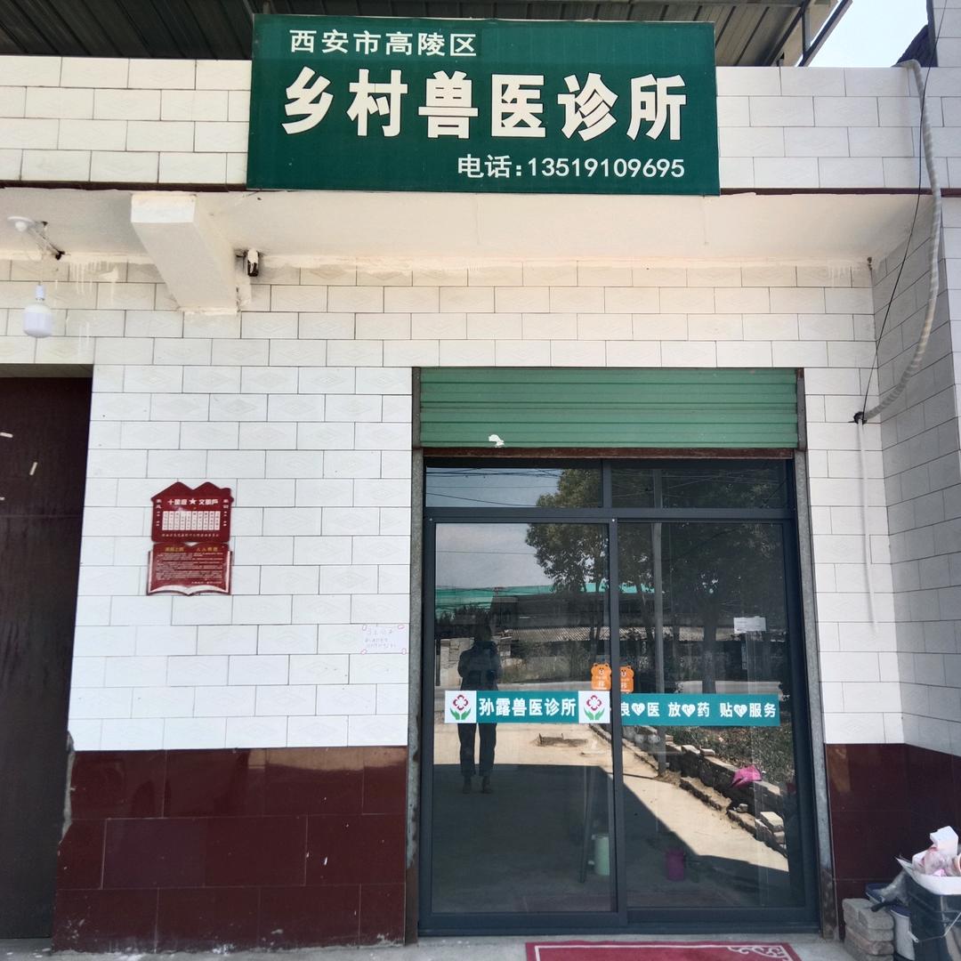 乡村动物医生守护者