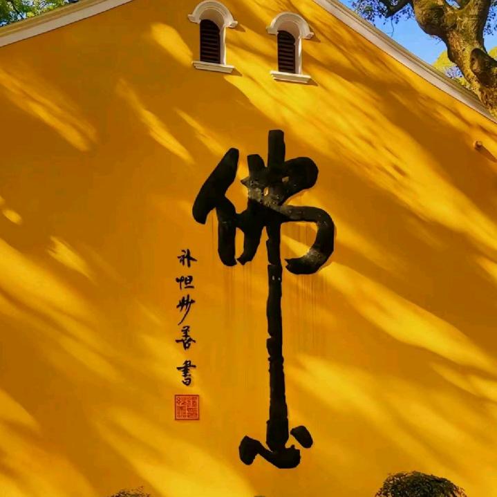 禅意旅行