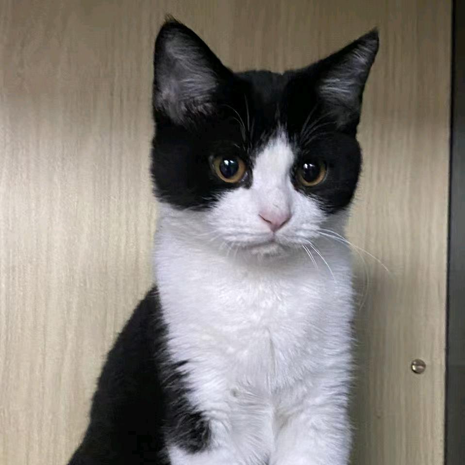 眼里✨️住着⭐️星🌟