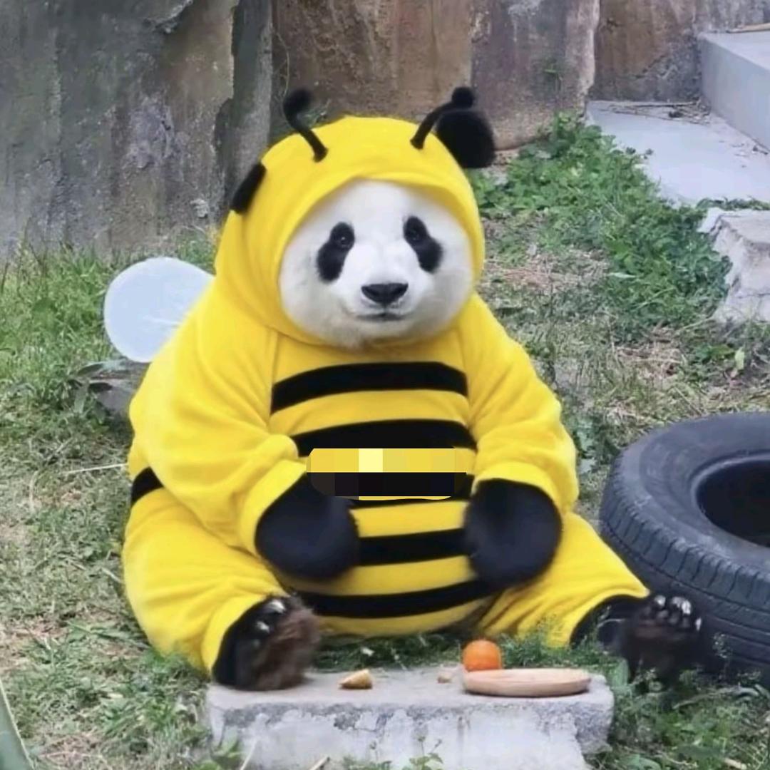 春眠不觉晓