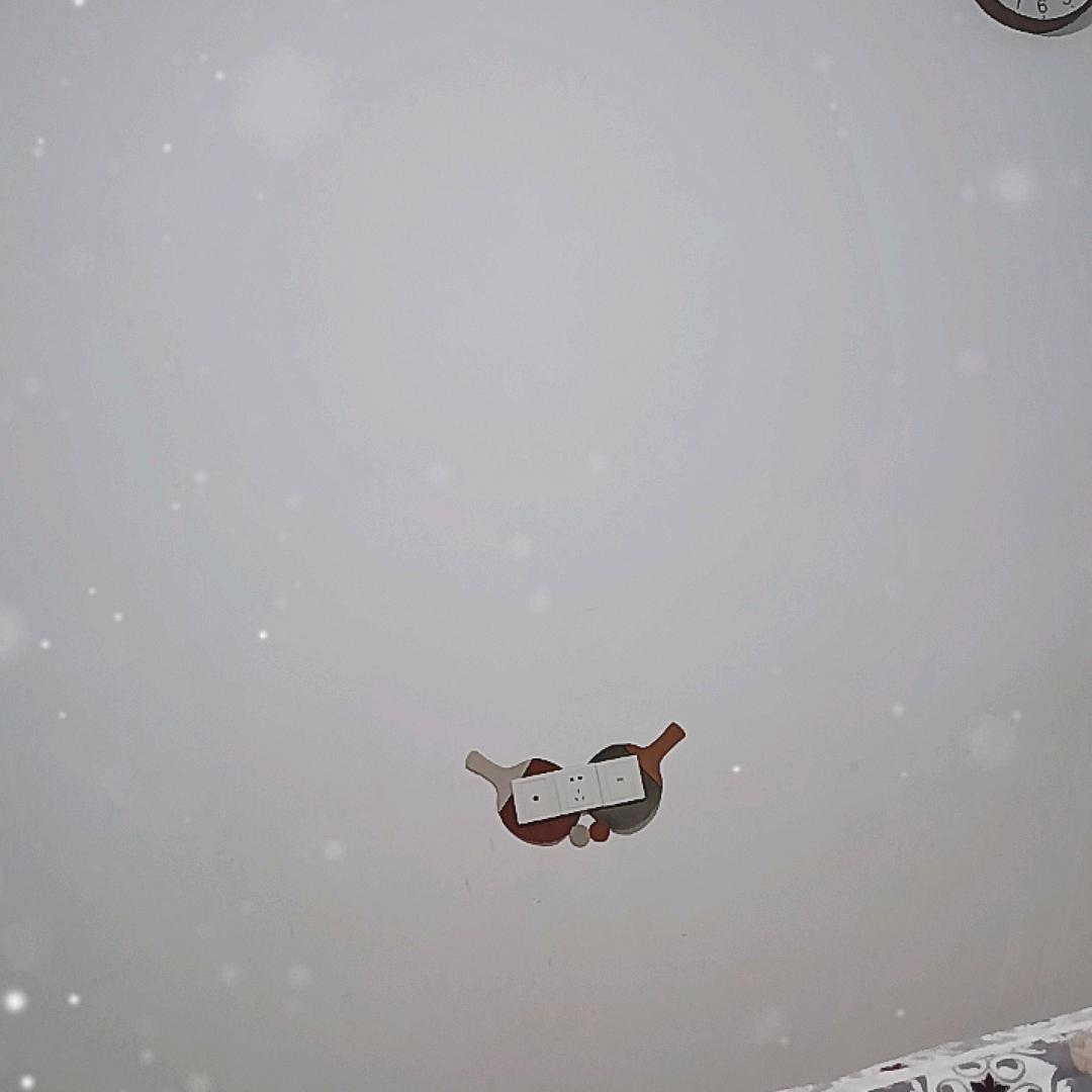 清娜
