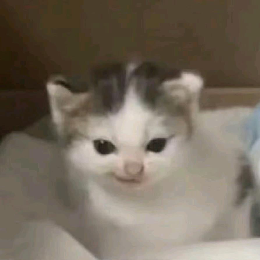 我的風夢女病一觸即發