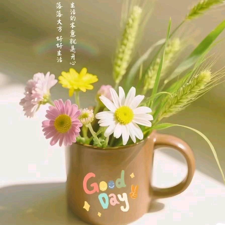 木子李齐鲁希妈