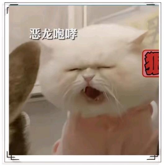 玖曦yu