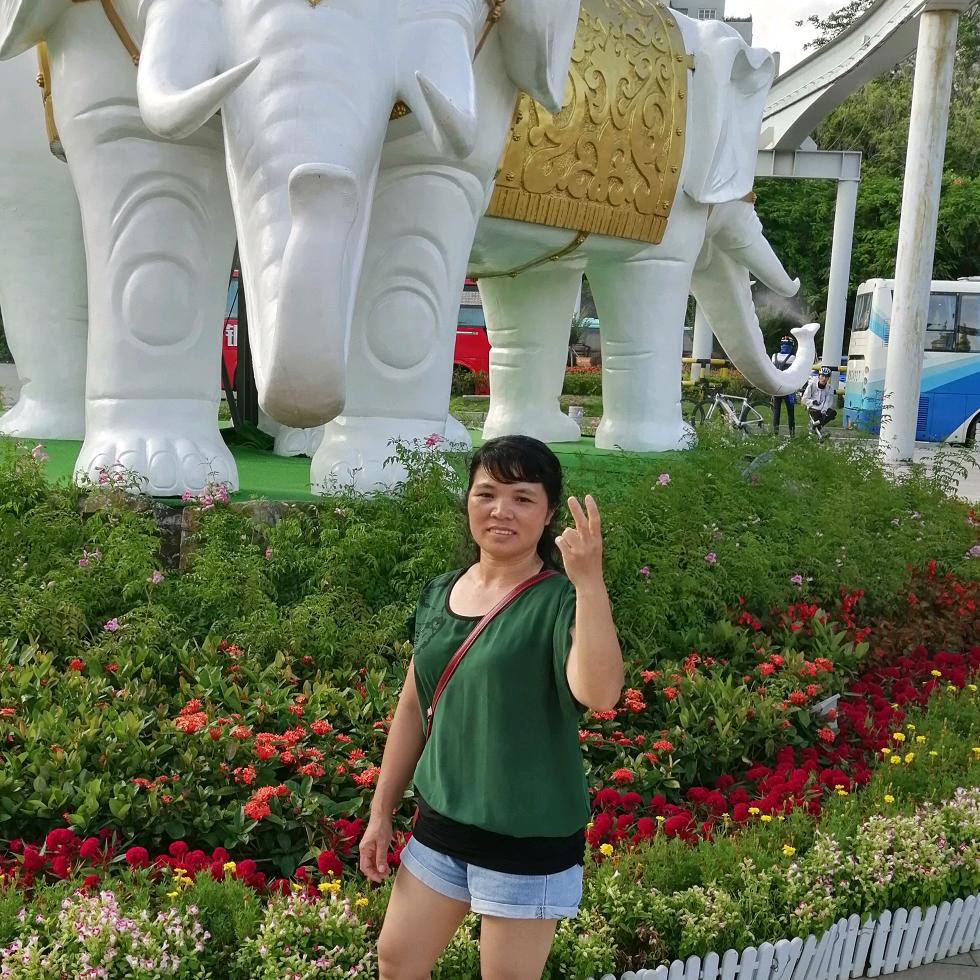梅姐停播中