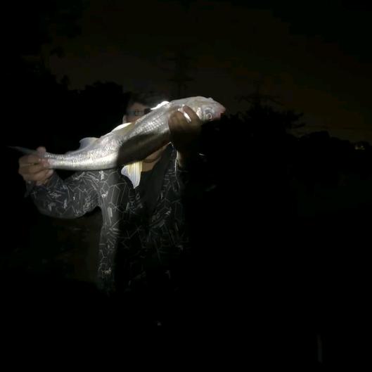 钓鱼打龟佬🎣