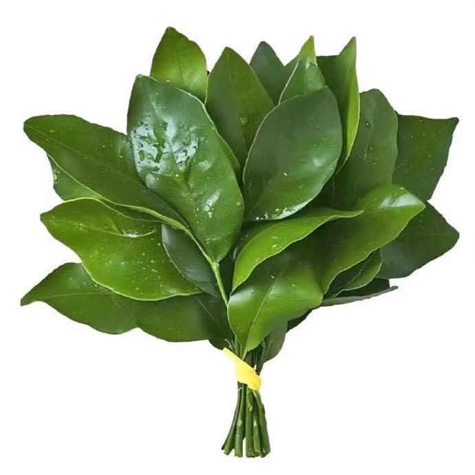 蜡笔小7..