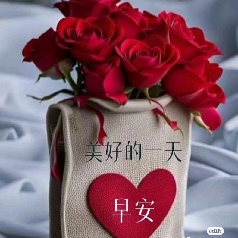橙子🍎