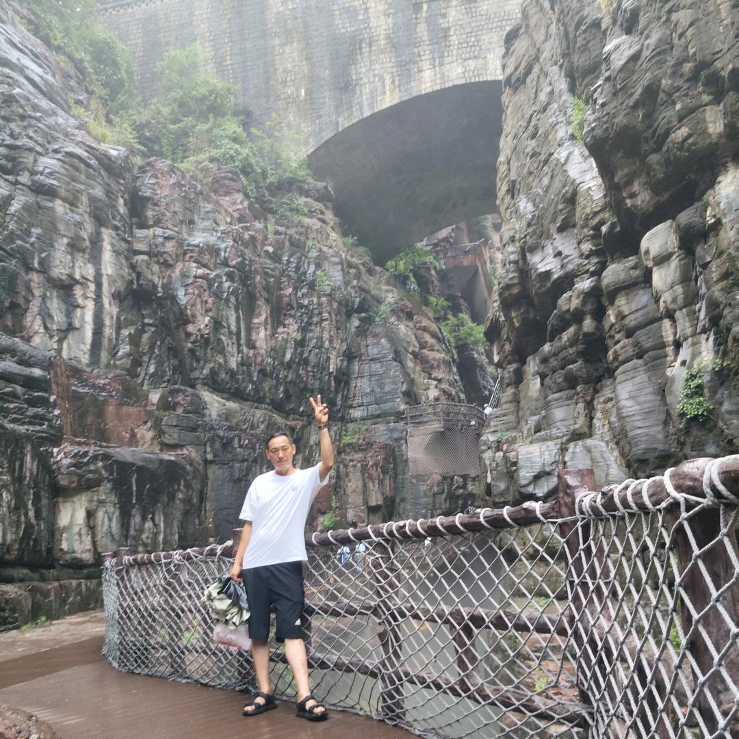孤傲的狼