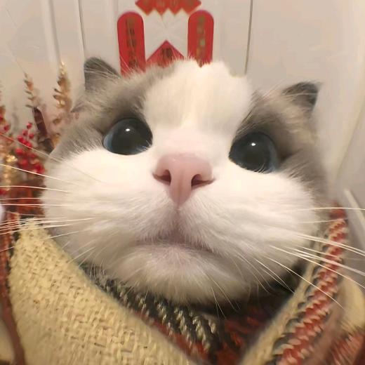 周志百货