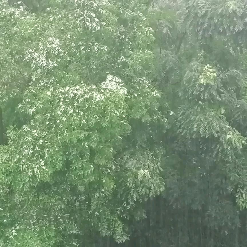 灵宇