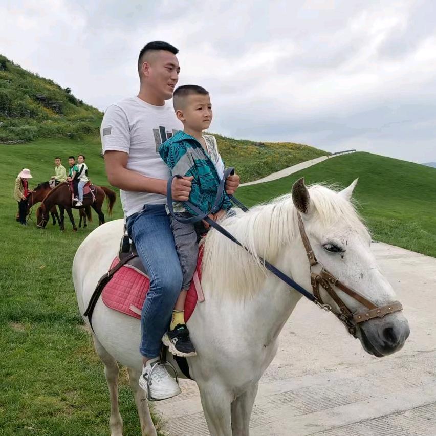 断桩处理，小何
