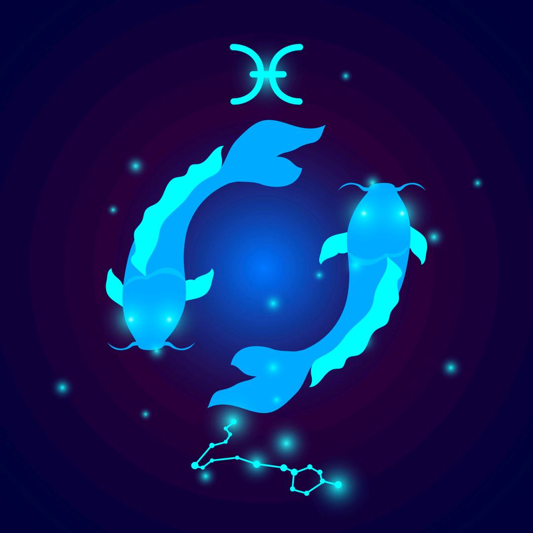 斗星晨可视