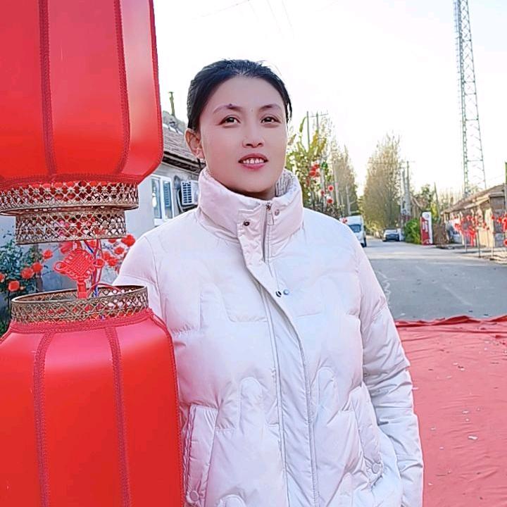 云飞鸿雁