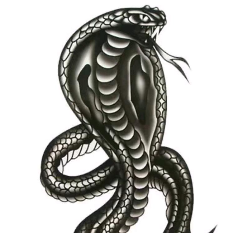 毒蛇