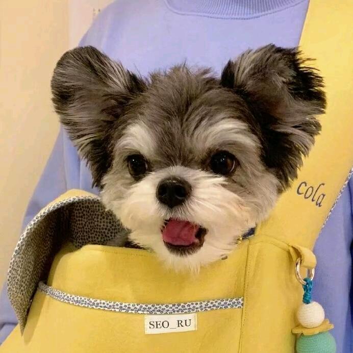 今天加个蛋儿🍳