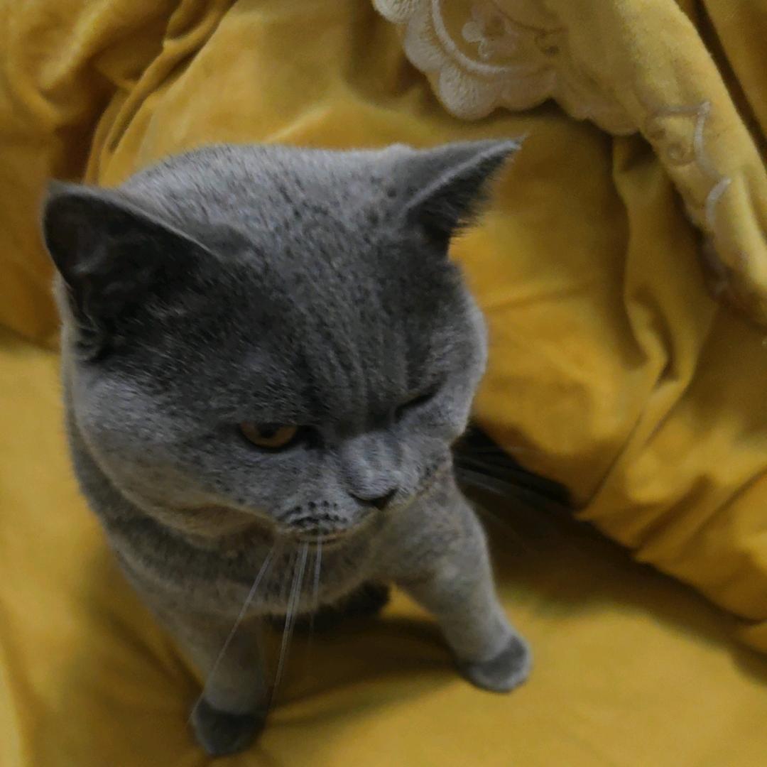 圈