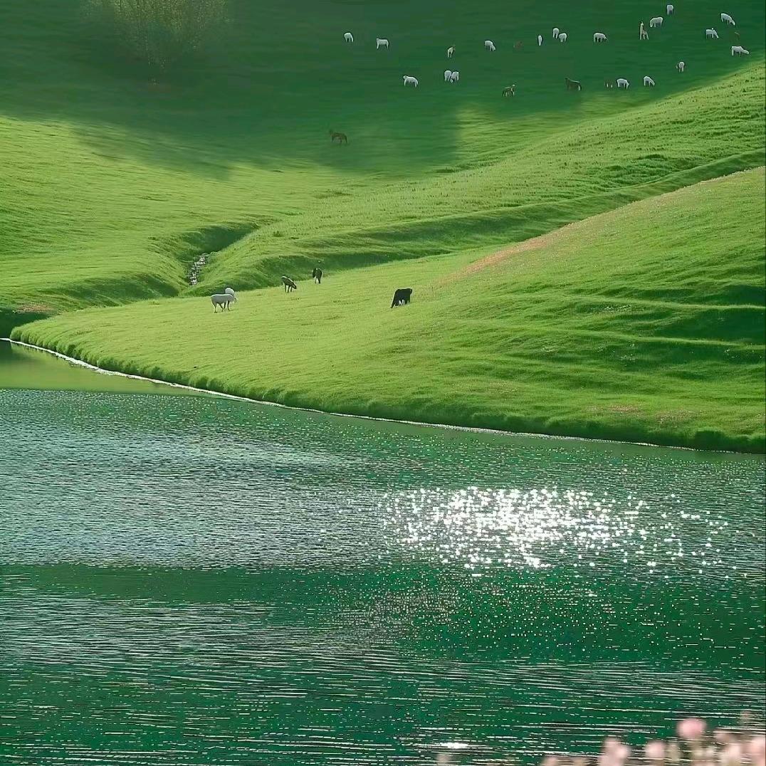 灵慧