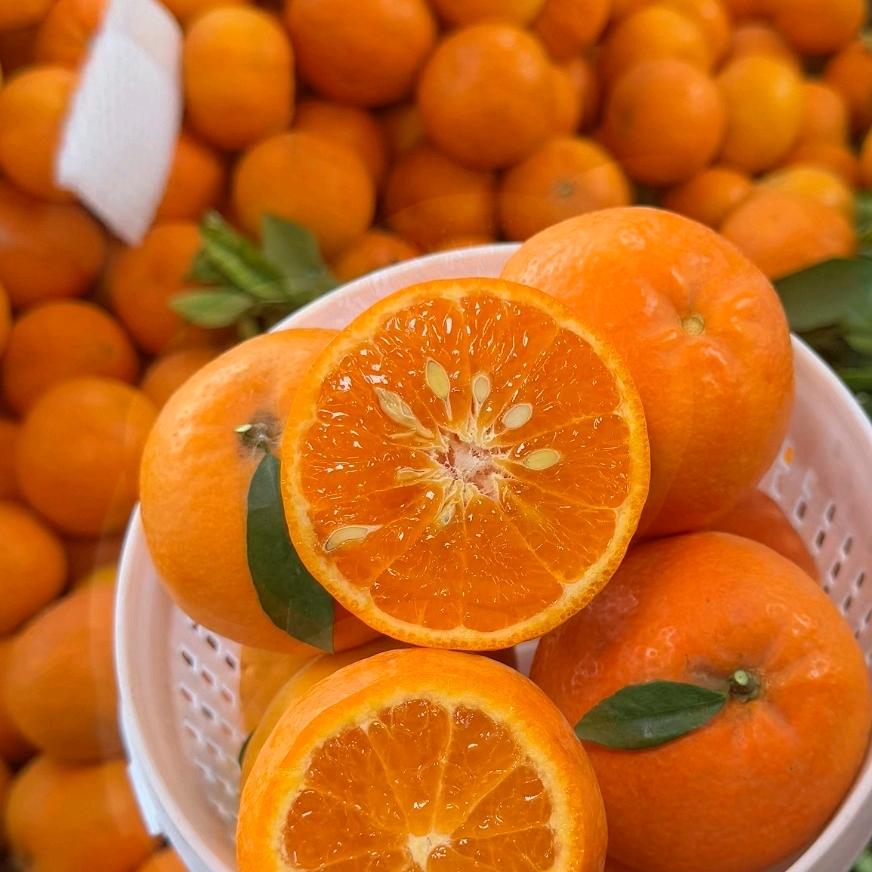 小莹爱吃水果🍊