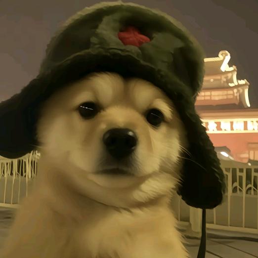叫我董同学