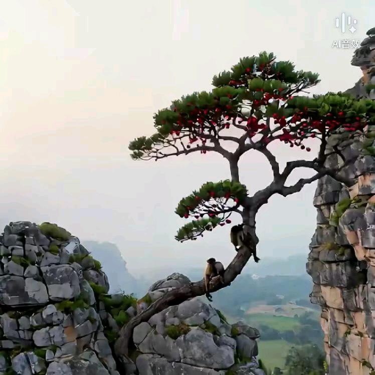 星哥💫，内外墙装饰