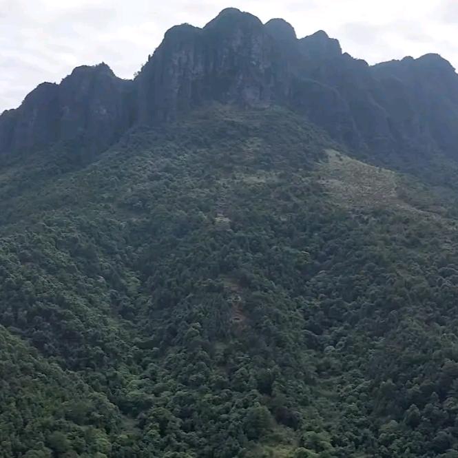 玄易堂妙丽容