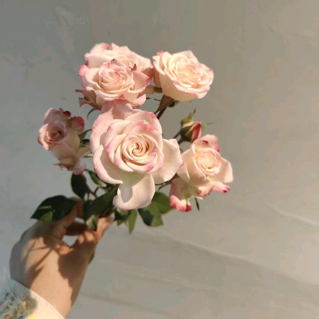 M。