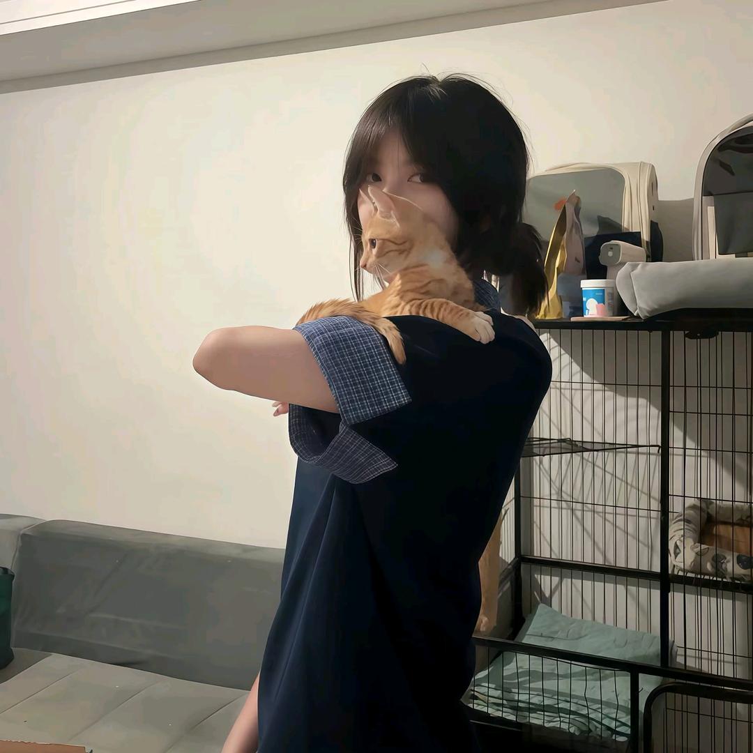 别吵我睡觉