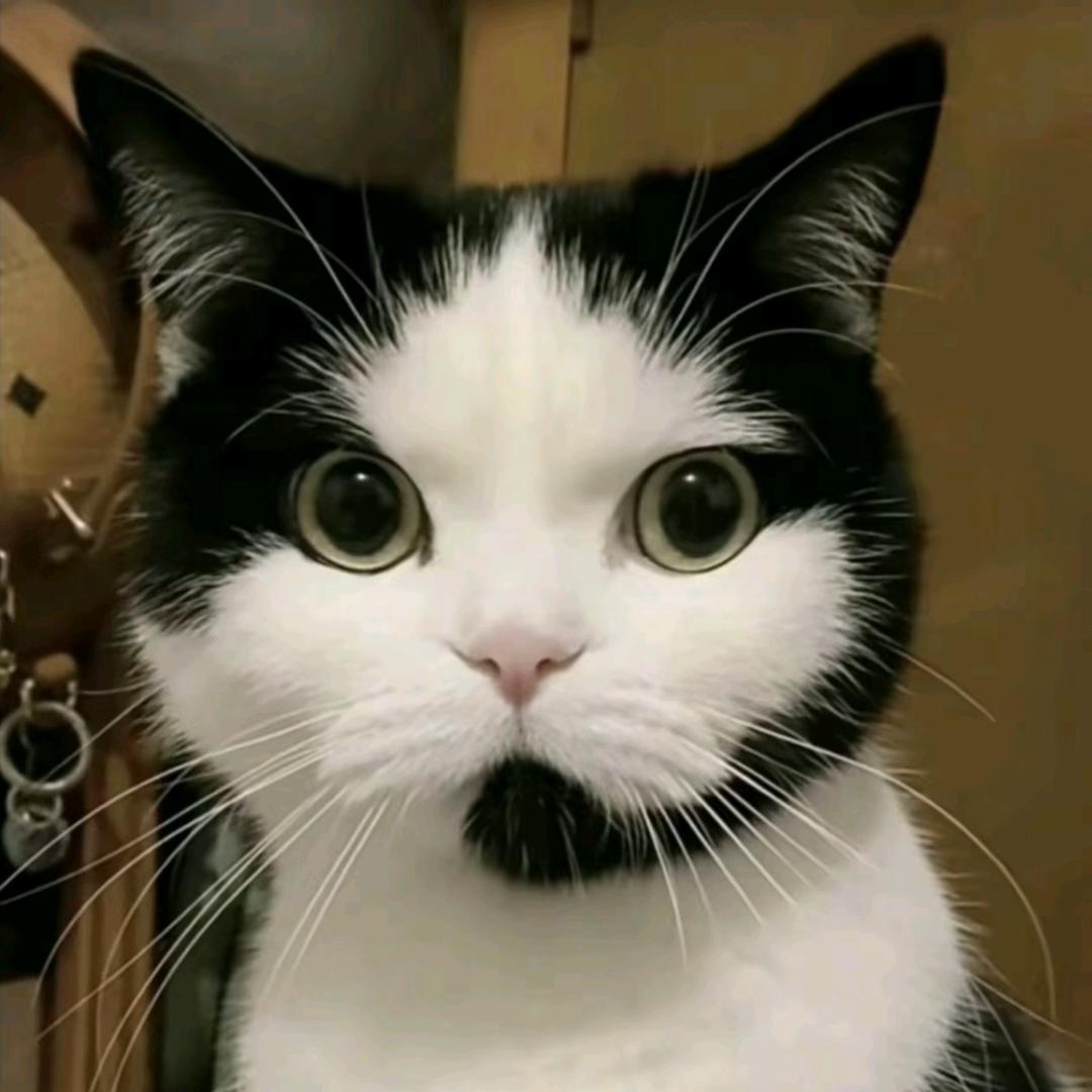 我悟了
