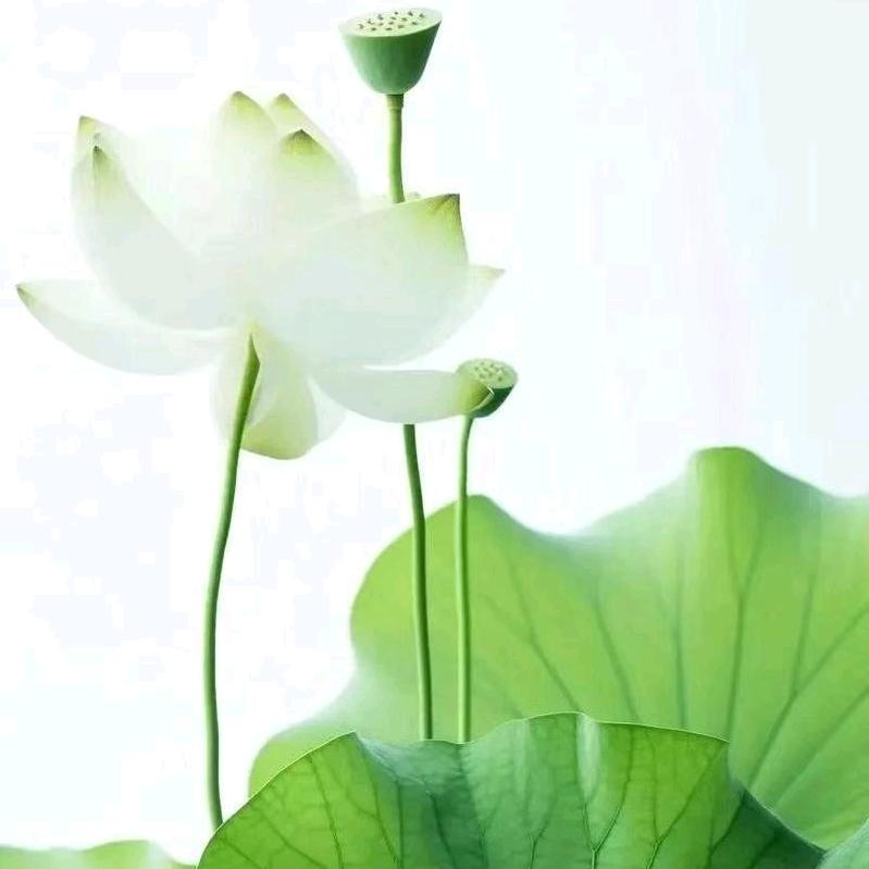 王峰门业（室内门、移门）