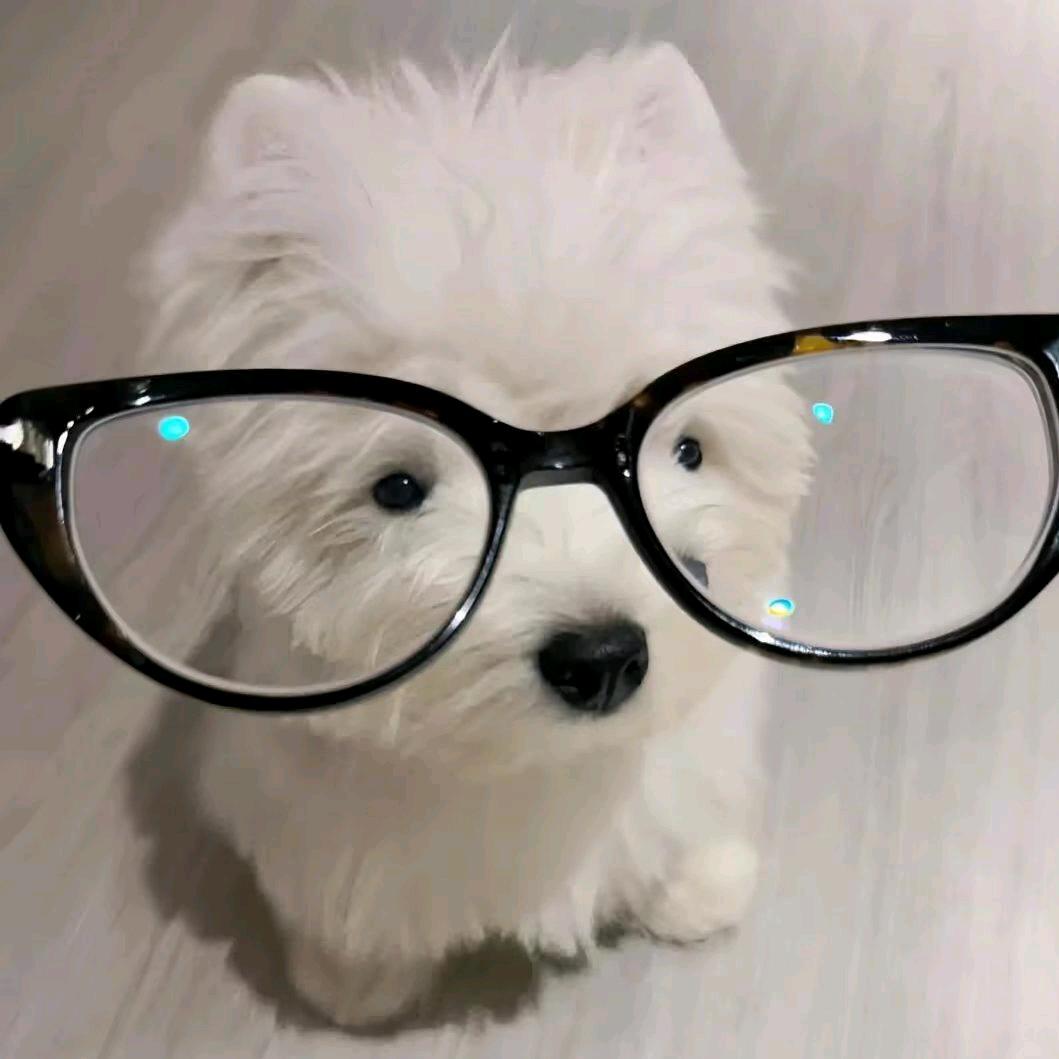 三月 흐린 날