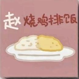 赵烧鸡排饭