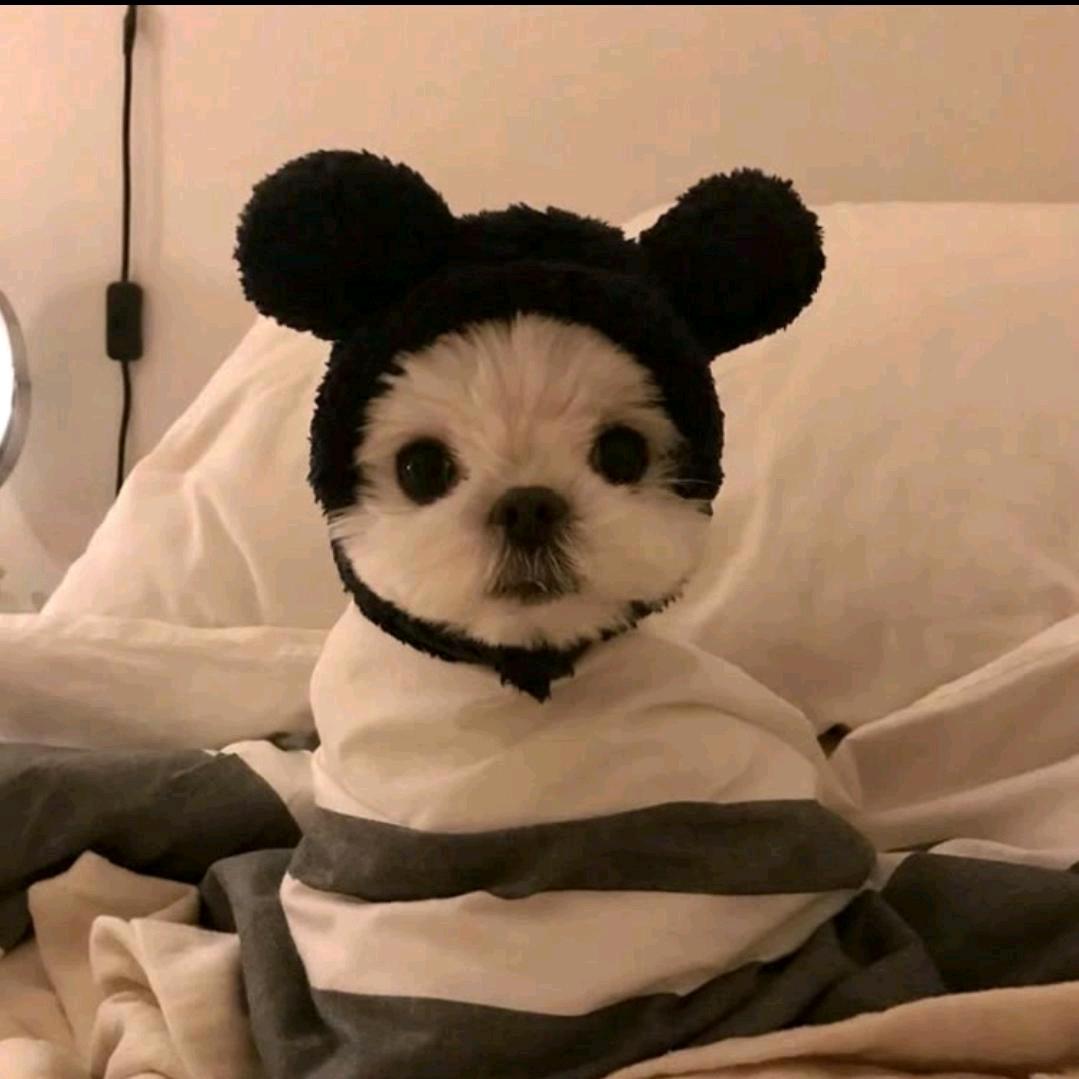 无敌铁柱大王