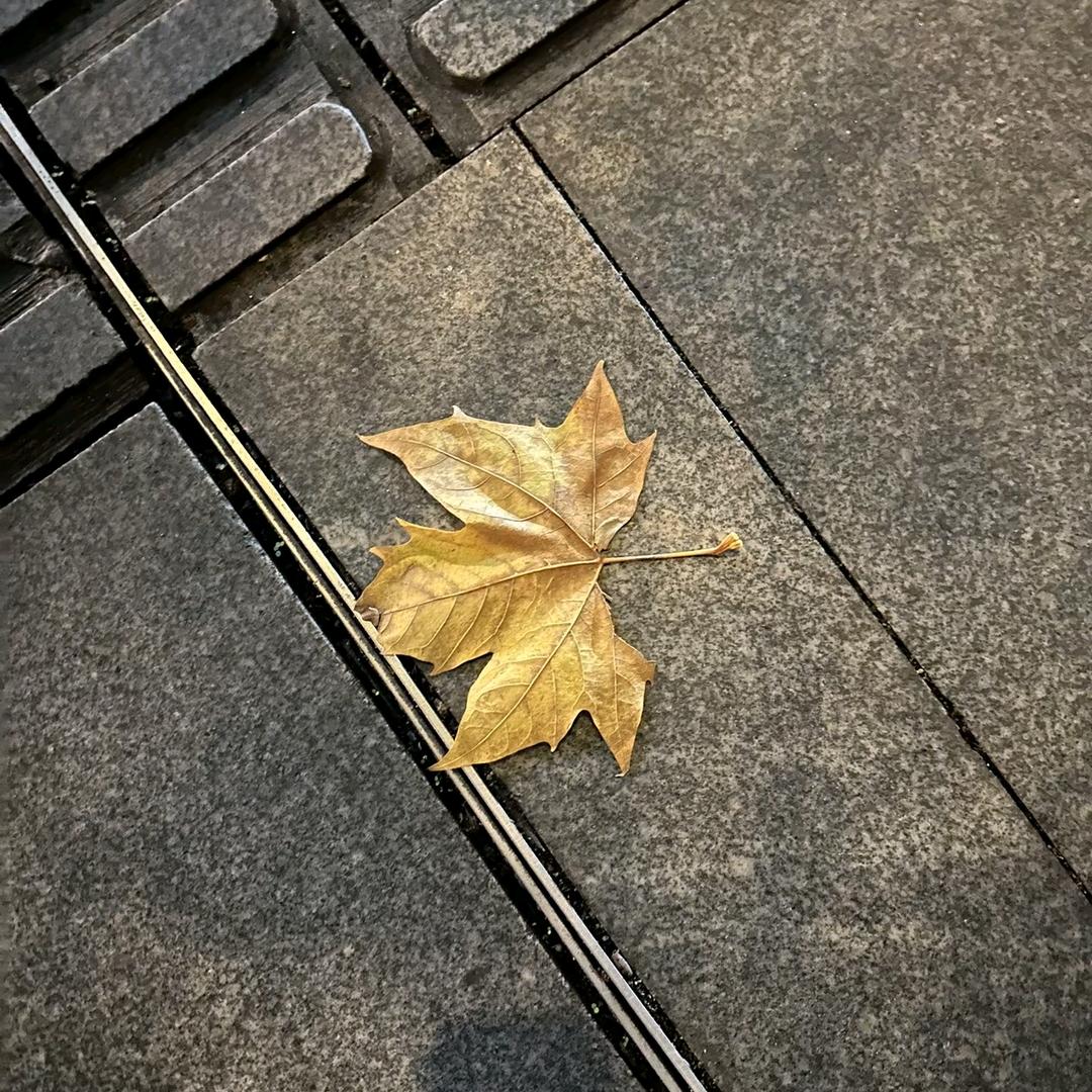 L‘’