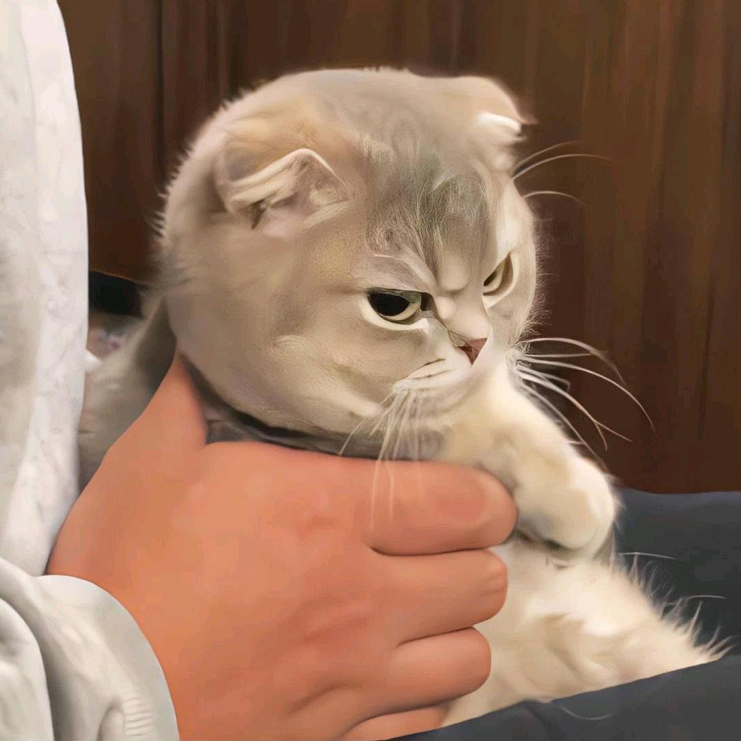 凉忆/