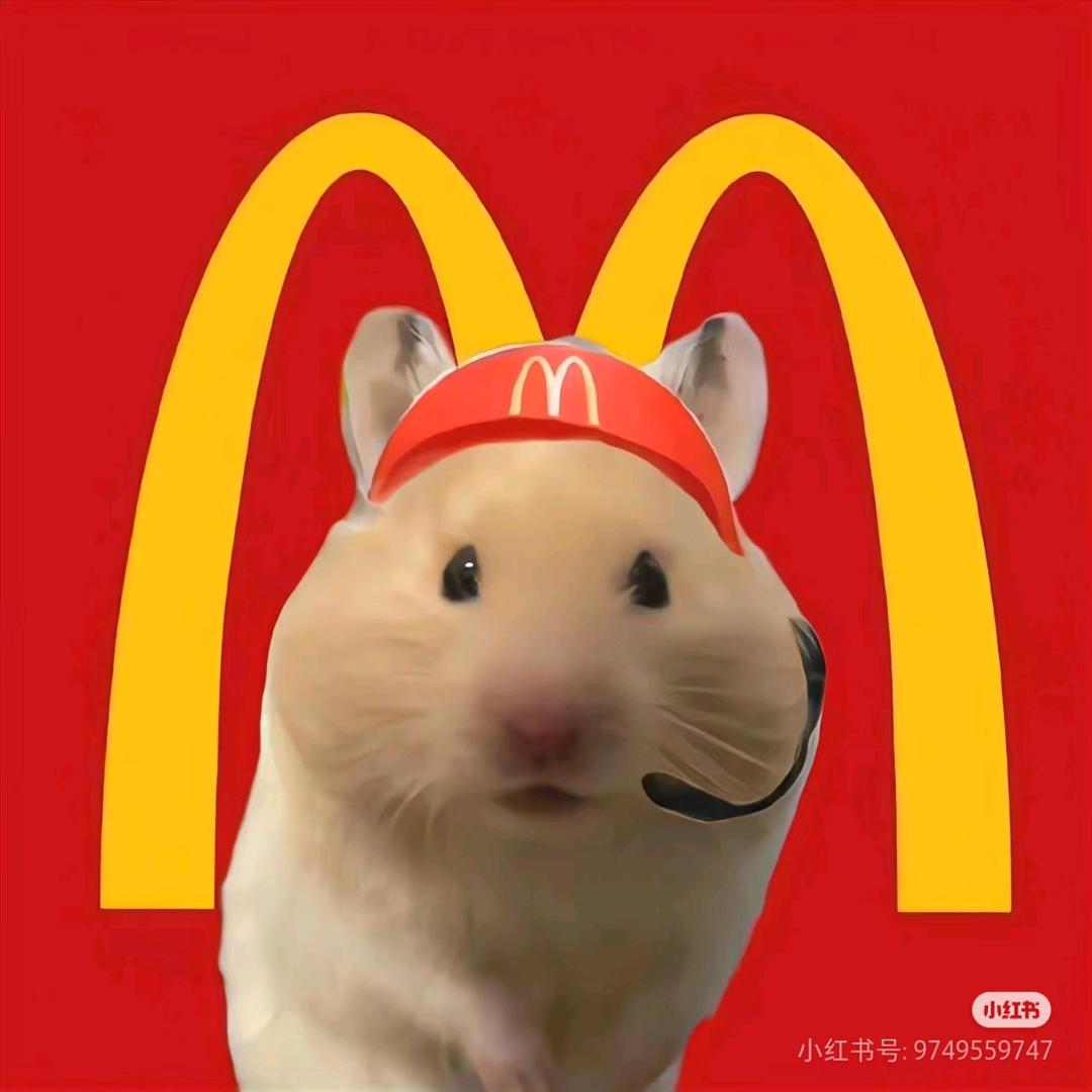 🧊(不想上学版)