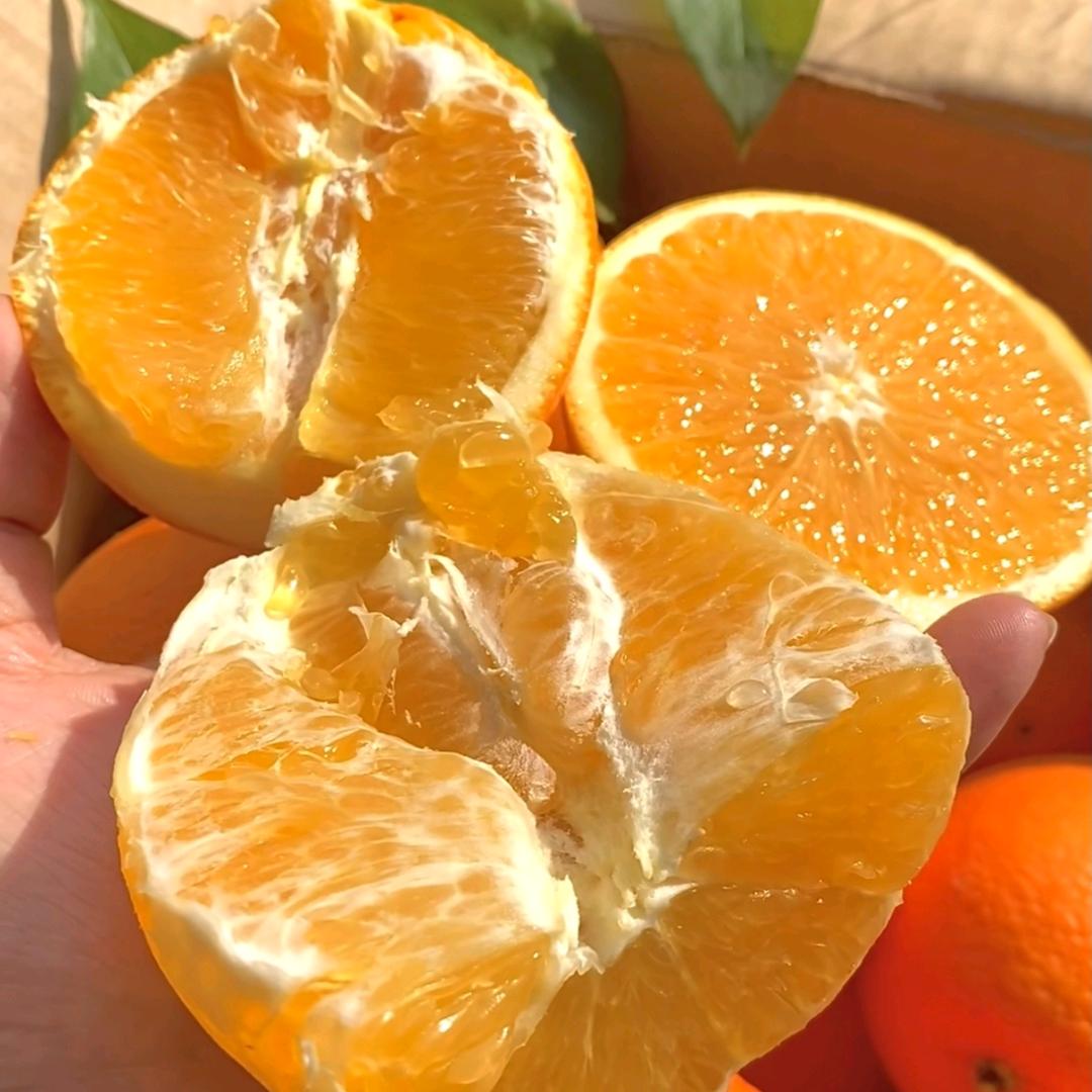 脐橙🍊