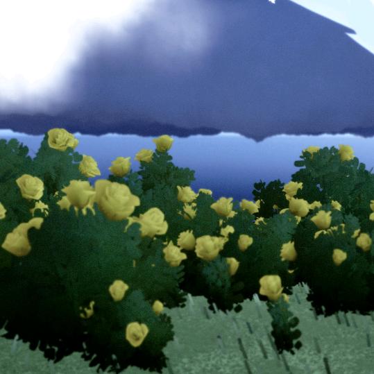 35091671288