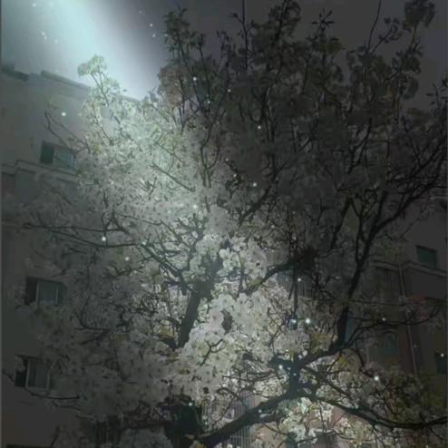 ღ不᭄念ꦿ过ཽ࿆往᭄