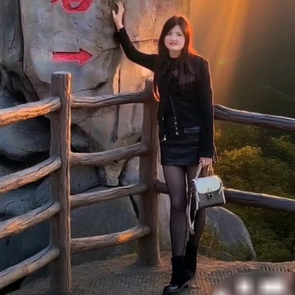 ✨单身💞玫瑰✨